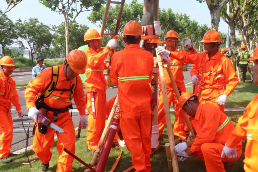 2021年上海市绿化系统防汛防台应急抢险演练圆满完成 2021年上海市绿化系统防汛防台应急抢险演练圆满完成