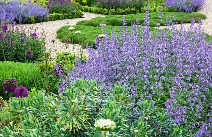 英式传统花境的现代演绎亮了,附全部植物配置品种,开眼了 英式传统花境的现代演绎亮了,附全部植物配置品种,开眼了