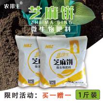 秋冬季节养君子兰，“晒”还是不晒？很多花友搞不懂，难怪不开花