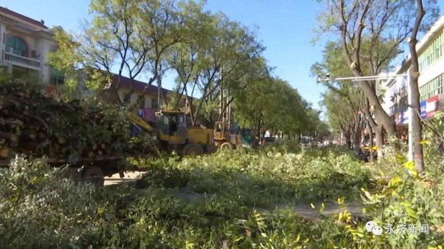 市园林绿化管理中心:精修细剪显成效 美化城市提品位 市园林绿化管理中心:精修细剪显成效 美化城市提品位