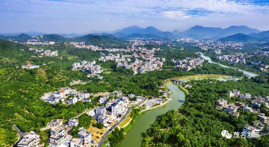 茂名出台科学绿化实施方案！落实最严格的古树名木保护措施