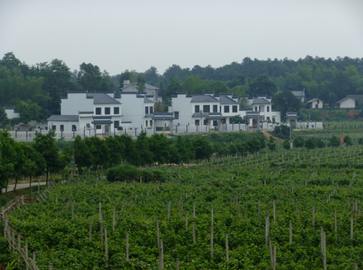 美丽乡愁|乡村绿化美化连载：湖南•关山社区