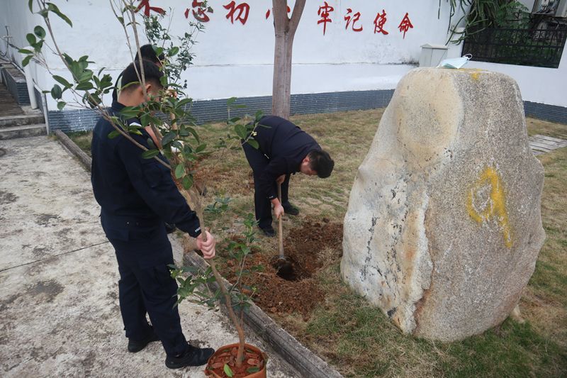 绿化美化警营 打造美丽“警”色