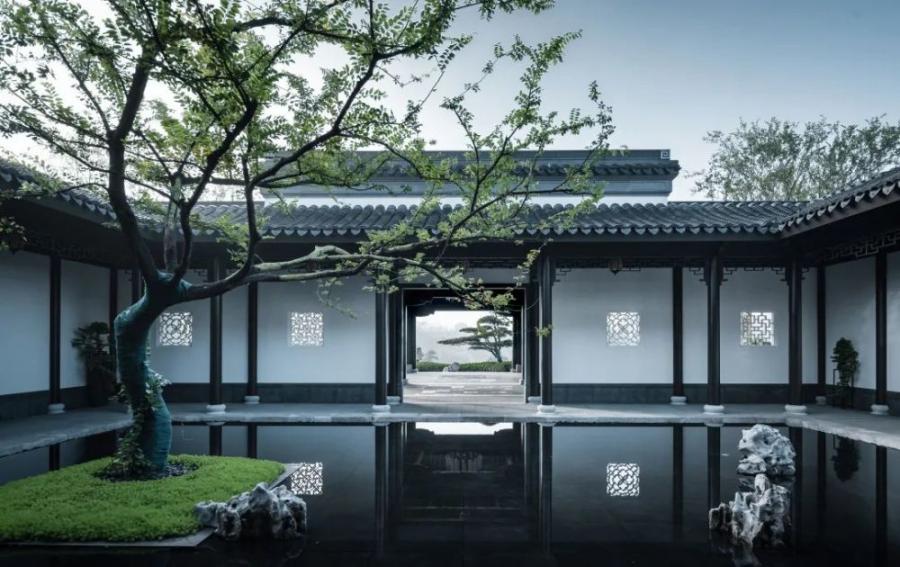无树不成景 | 景观示范区里的网红树