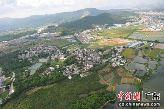 提前谋划！广东部署2024年县镇村绿化工作