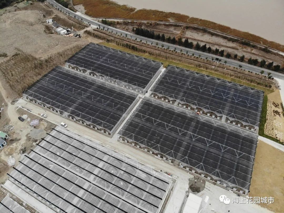 回眸，2020年度舟山园林绿化成绩单，件件都是大事