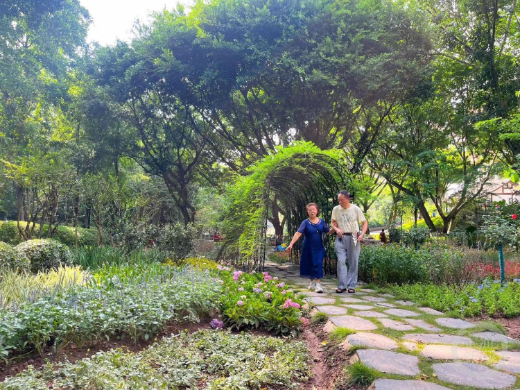 大树底下好风景！石门公园“林下花园”亮相