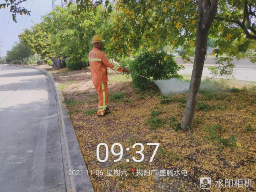 揭阳龙马：绿化管养专项整治 助力百日攻坚行动