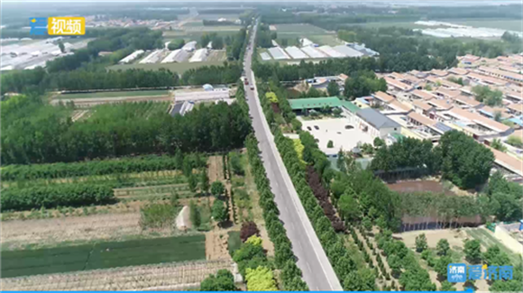 探访商河玉皇庙：“强省会”背景下，现代化强镇如何更强