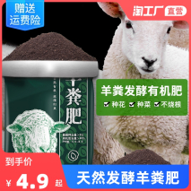 秋天了，想要三角梅“开花”，养护“4步走”，早早开大花