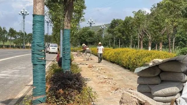 快看！文山城区出入口风景悄悄变了……
