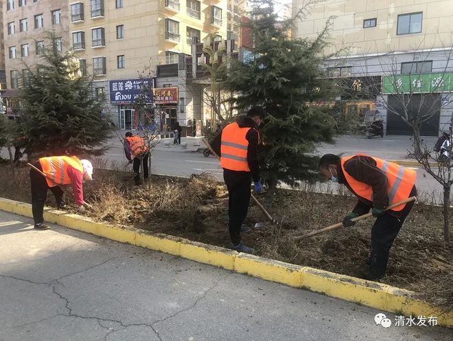 清水高标准启动建设城区绿化工程