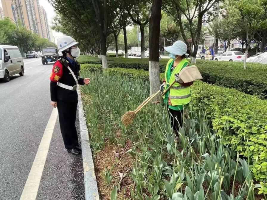 航天基地城管局：加大巡查力度 优化绿化管养