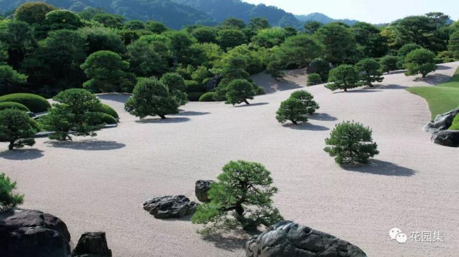 花园植物小百科｜你的花园到底适合种什么植物？对症下药是关键