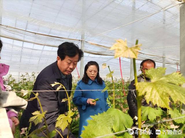 抓好春季生产，聊城市自然资源和规划局经开区分局送技术下乡
