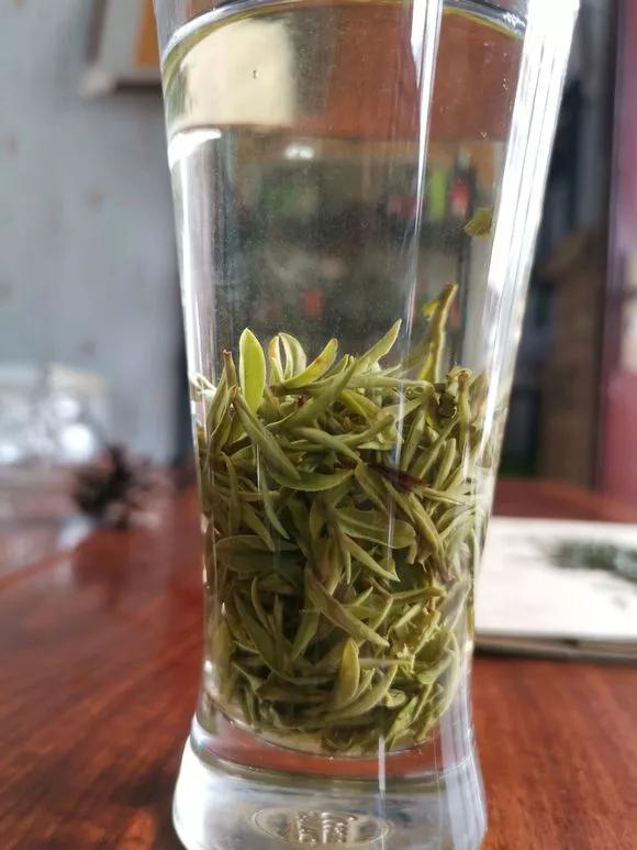 残茶淘米水，到底能不能浇花？这点不注意，容易烧苗板结烂根