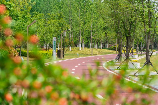 打卡江北绿道，与山水浪漫相遇