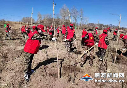 让黑河大地绿意更浓环境更美