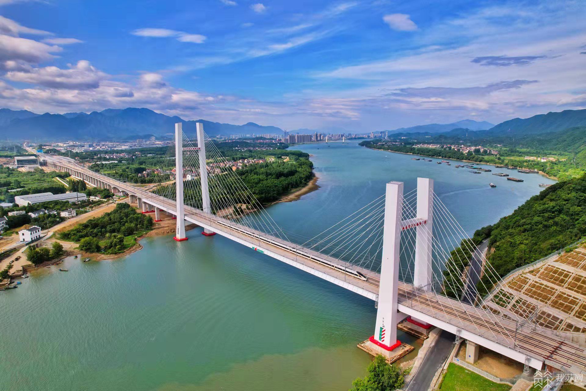 轨道上的长三角 绿化景观宛若“画簿”