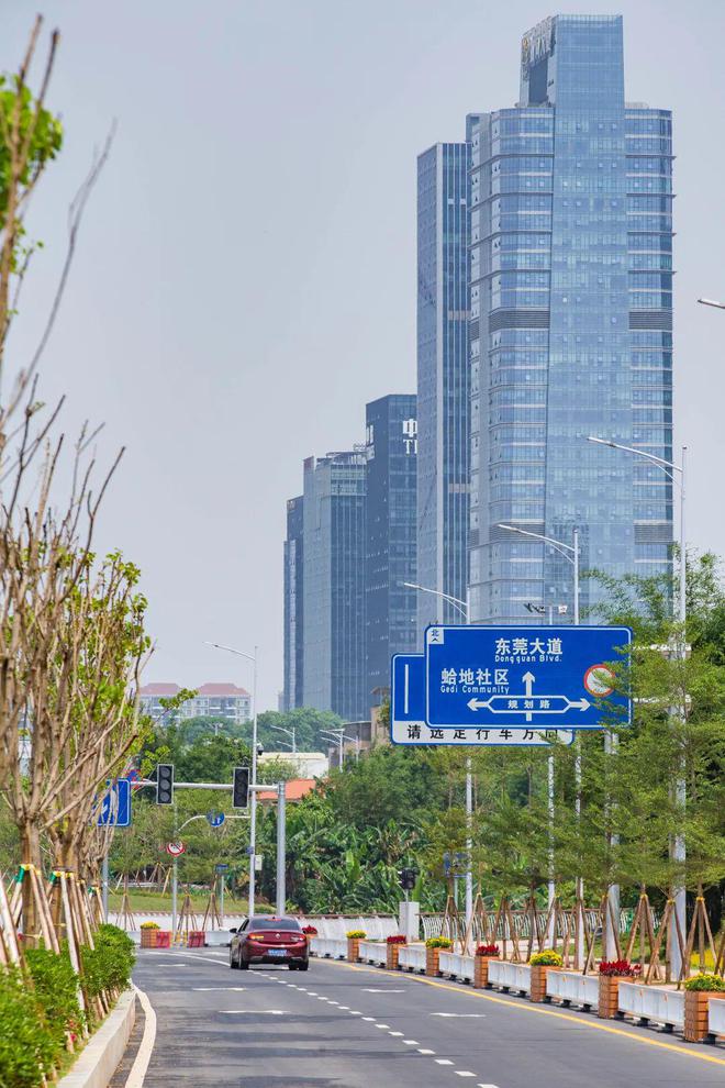 通往植物园、水濂山！东莞大道旁又添新道路！