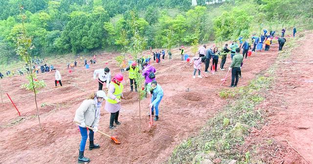 7万亩国土绿化试点示范项目年底建成