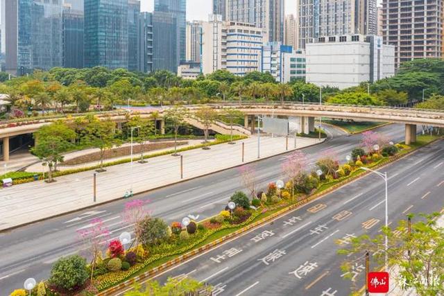 绿化带变小花园，顺德这些地方又变漂亮了丨新春走基层
