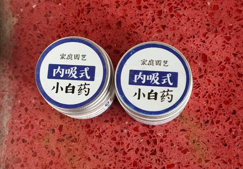 惊蛰之后小黑飞泛滥，记住2类方法，轻松杀灭小黑飞