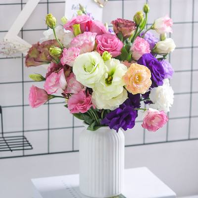 32种鲜切花花名，以及对应的花语，从此买花送人不出错