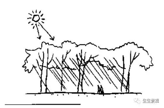 跟着大师学种植设计,妙 跟着大师学种植设计,妙