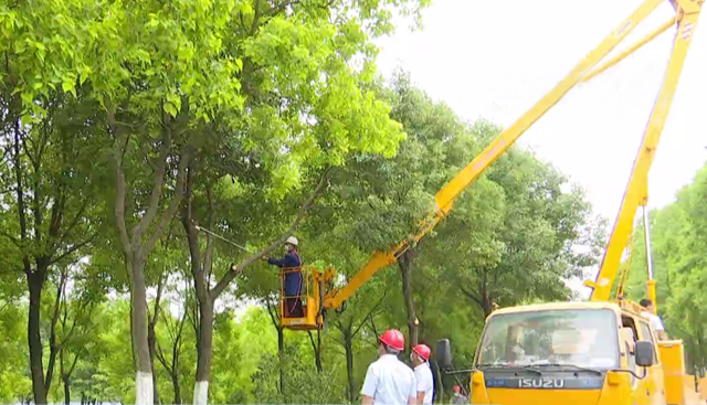 提升园林景观，助力“五城同创”！