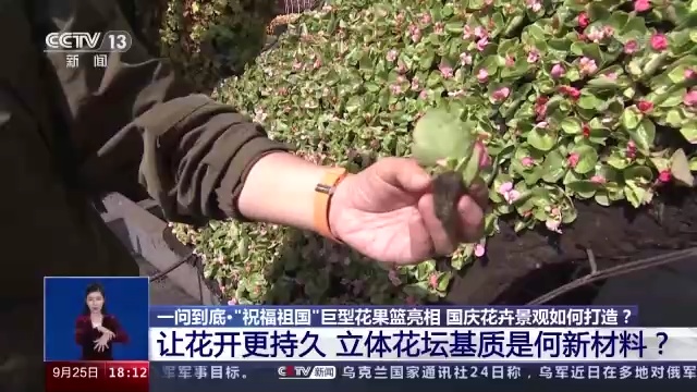 一问到底丨国庆花卉景观是如何打造的