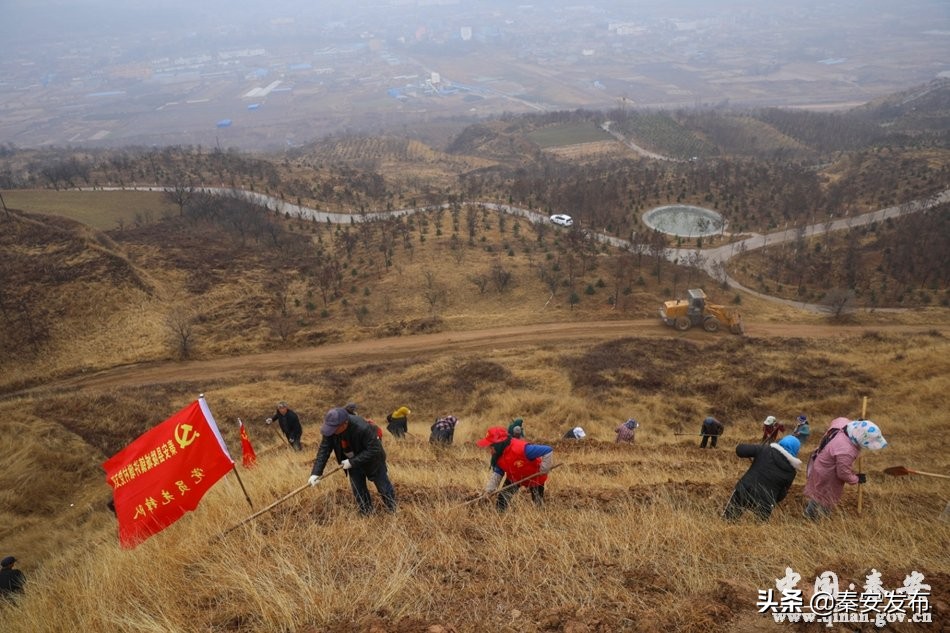 【造林绿化】陇城镇掀起春季生态林管护和植树造林热潮（组图）