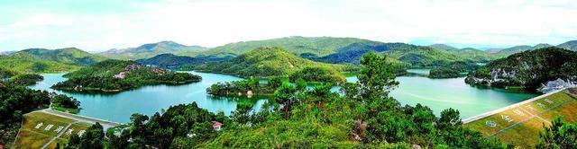 云浮罗定市：积极营造“爱绿、植绿、护绿、兴绿”的全民绿化氛围