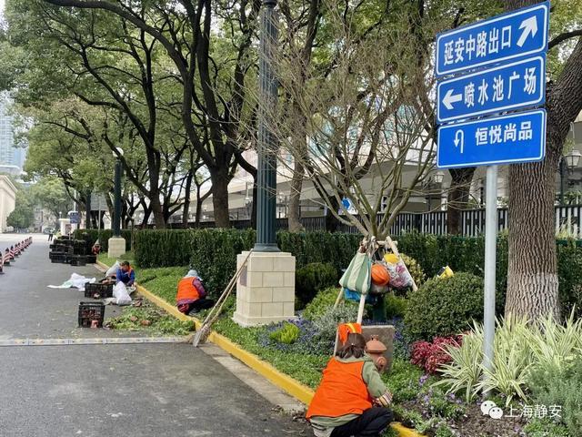 上海展览中心大变样！未来，绿化景观、市民广场、公共停车……