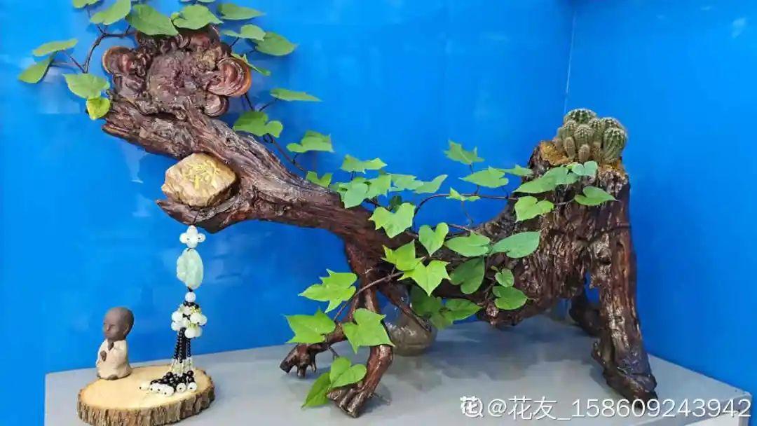 过完年，垃圾桶周围多了不少花，又要开始捡破烂儿了