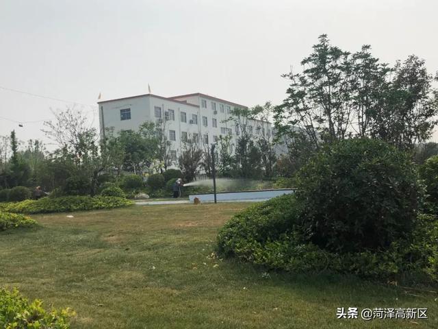  菏泽高新区：加强绿化养护 建设魅力高新