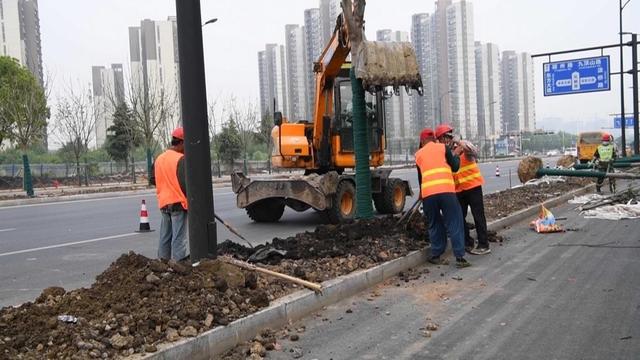 安徽长丰：实施道路绿化 扮靓园区“颜值”