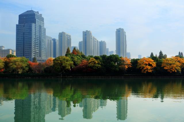 “绿眼睛”上线！杭州市园文局诚邀市民来当护绿使者