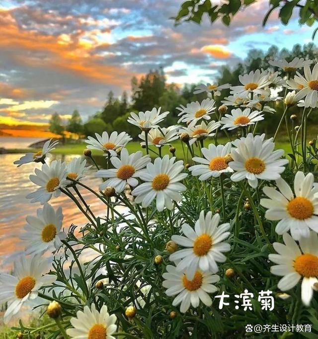 园林景观花境设计有哪些特点？怎么做？需要养护吗？