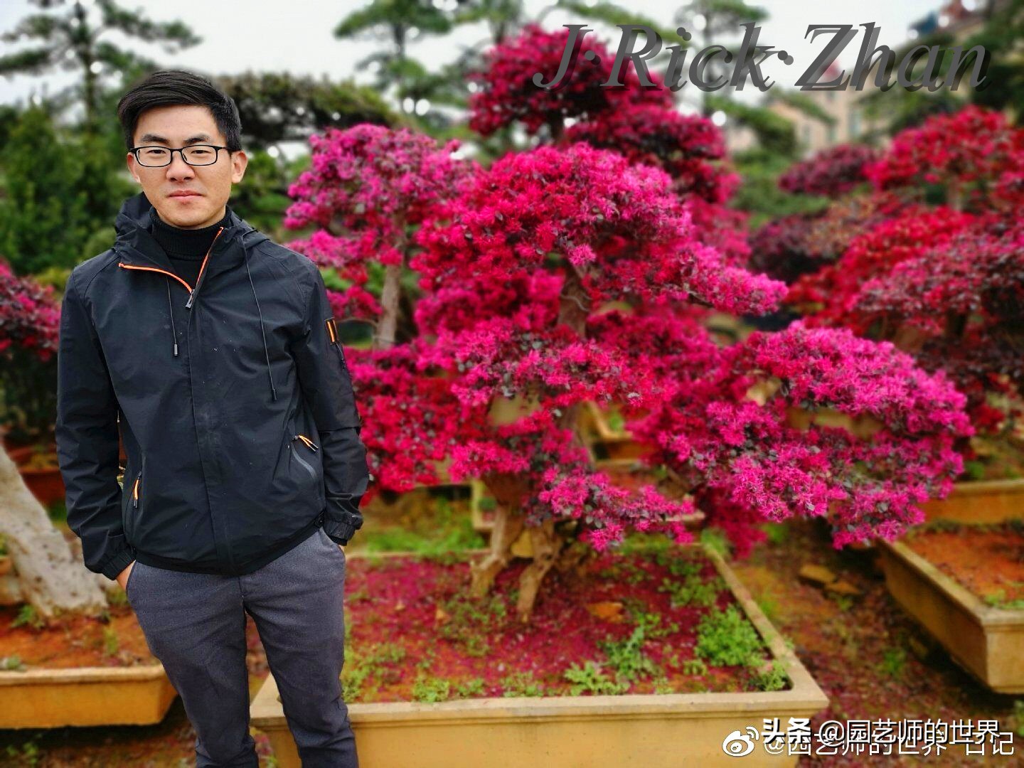 园林绿化工程系列——苗木如何采购与入库