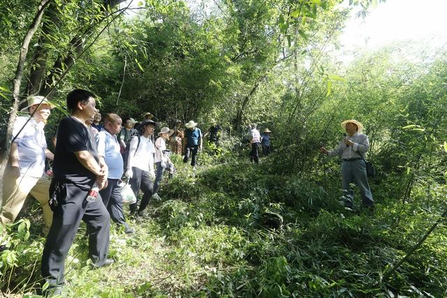 竹山县竹产业技术培训搬到竹林