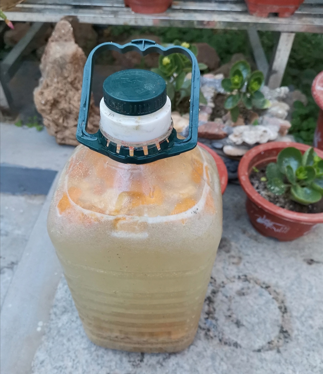 过年垃圾不要扔，这样简单处理一下，养什么花都旺盛