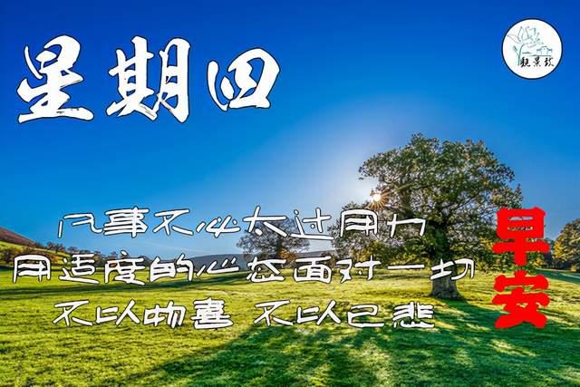 2021年12月23日 园林简报，工作愉快