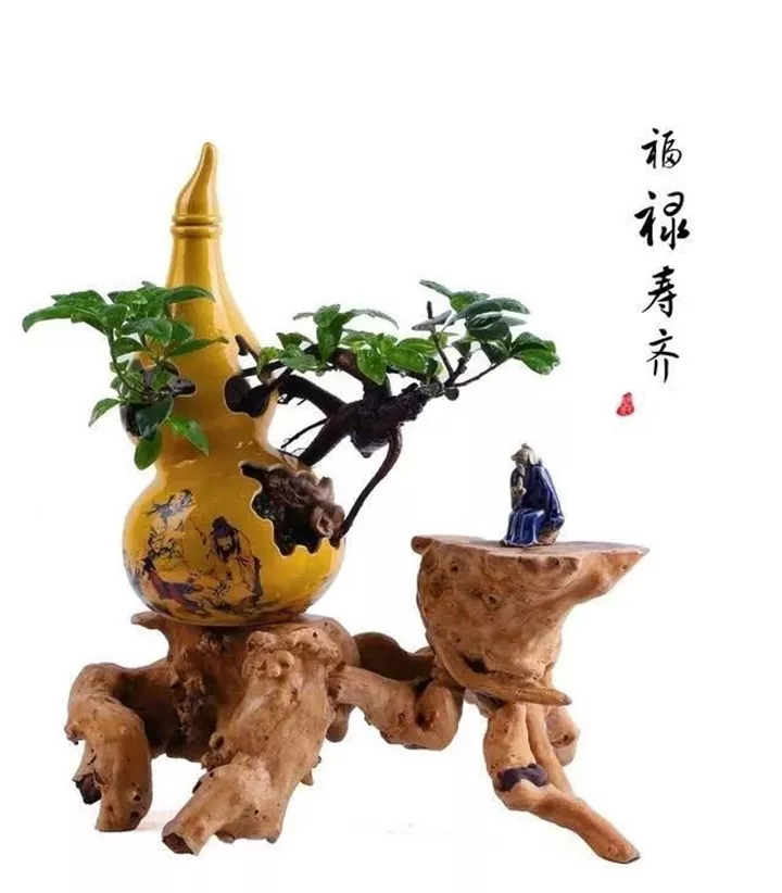 退休老人用空酒瓶做盆景，盆盆是精品，惊艳众人！
