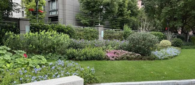 长宁这个路口新建的“小花园”,极富野趣! 长宁这个路口新建的“小花园”,极富野趣!