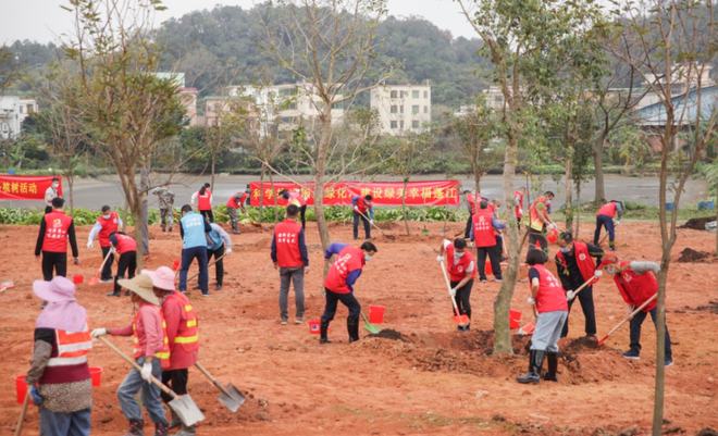春回大地催新绿，区四套班子领导成员带头义务植树，共建“绿美蓬江”
