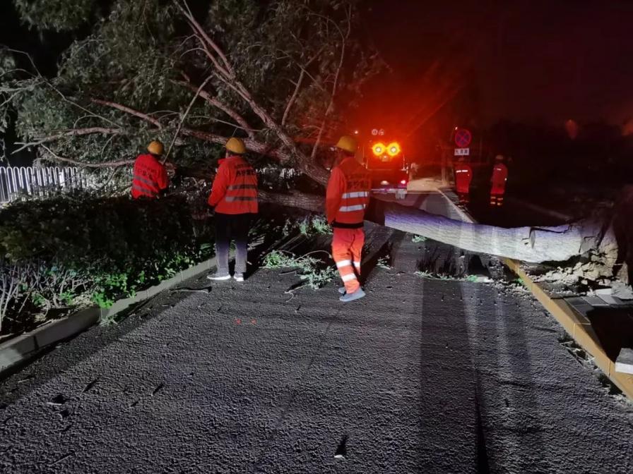 北京大风致41棵树木倒伏，园林绿化部门连夜清障排险