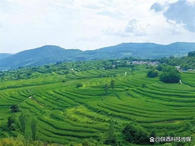 宜君：多举措 高标准创建森林城市