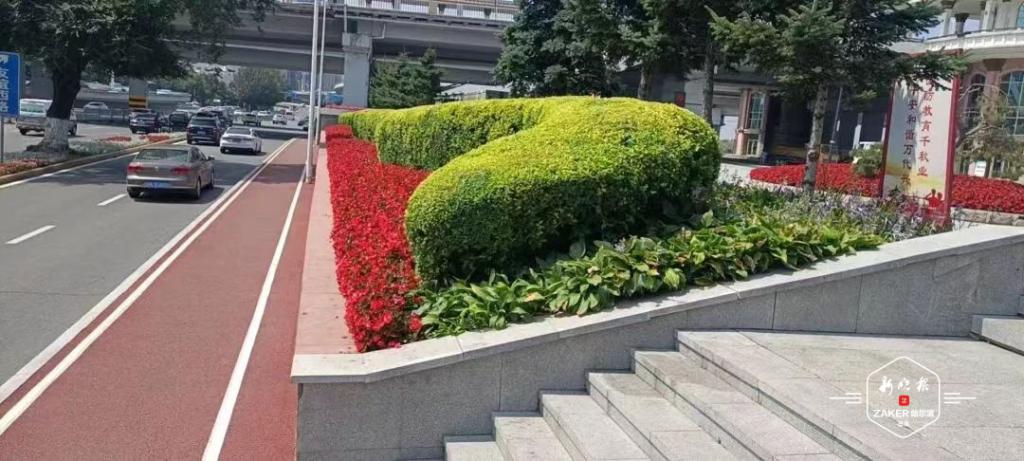  精雕细琢 逐绿前行丨道里区提升园林绿化彩化水平