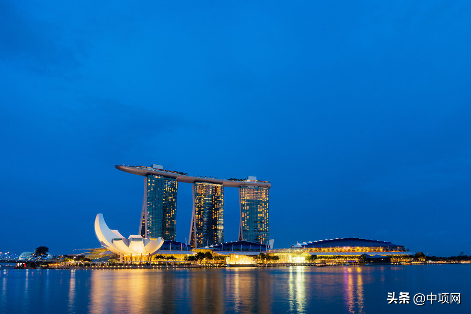 黑龙江项目汇总，精准及时，涉及多领域，让你轻松发现好项目